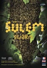 Sülem / Swarm DVD