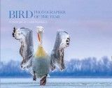 Bird Photographer of the Year: Collection 4 (Bird Photographer of the Year)