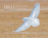 Bird Photographer of the Year: Collection 6 (Bird Photographer of the Year)