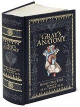 Gray´s Anatomy (Barnes & Noble Collectible Classics: Omnibus Edition)