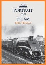 Portrait of Steam