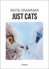 Insta Grammar Just Cats